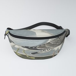 American Water Ouzel from Birds of America (1827) by John James Audubon etched by William Home Lizar Fanny Pack
