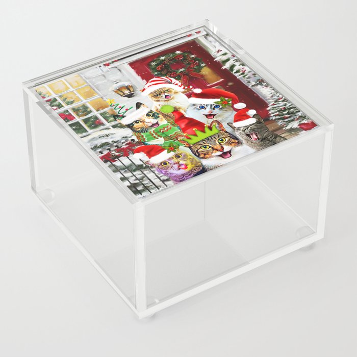Meowy Christmas / Catmas / Merry Christmas Acrylic Box