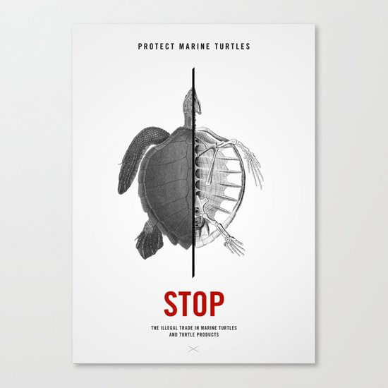 Protect Marine Turtles Canvas Print