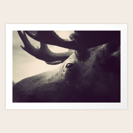 Get Stuffed Art Print