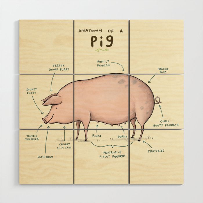 Anatomy Of A Pig Wood Wall Art By Sophiecorrigan