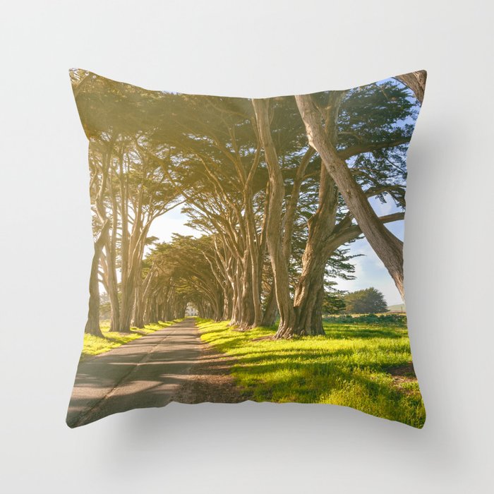  Cypress Tunnel Throw Pillow