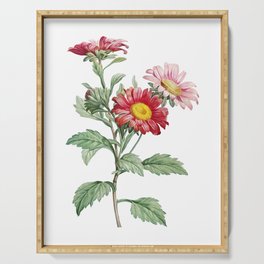 Vintage Red Aster Flowers Botanical Illustration on Pure White Serving Tray
