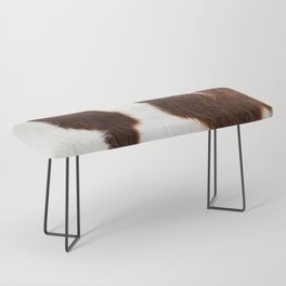 Cowhide Brown Spots Bench