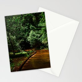 Muir Woods Stationery Cards