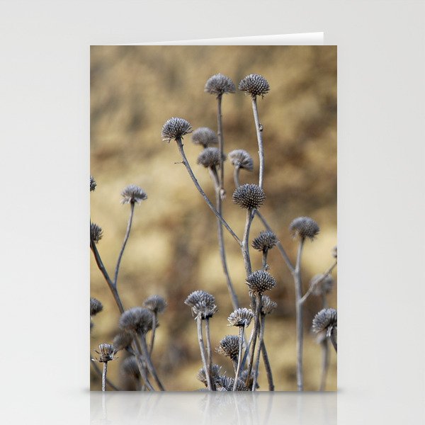 Autumn flowers Stationery Cards