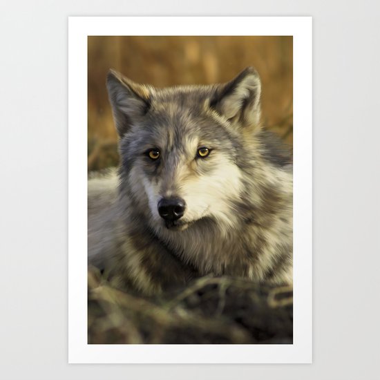 Wolf Art Print