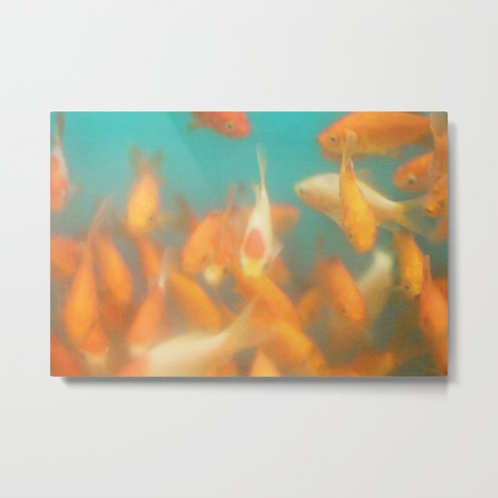 a fish life Metal Print