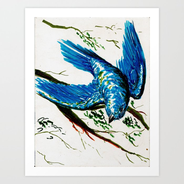 Mountain Bluebird Art Print