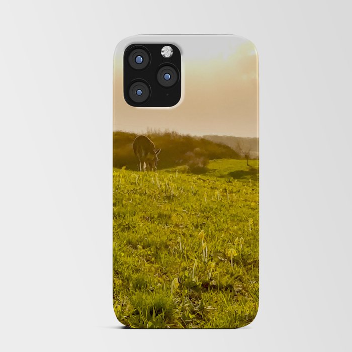 Donkey pasture at the golden hour summer landscape iPhone Card Case