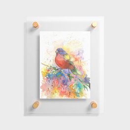 Colorful Bird Floating Acrylic Print