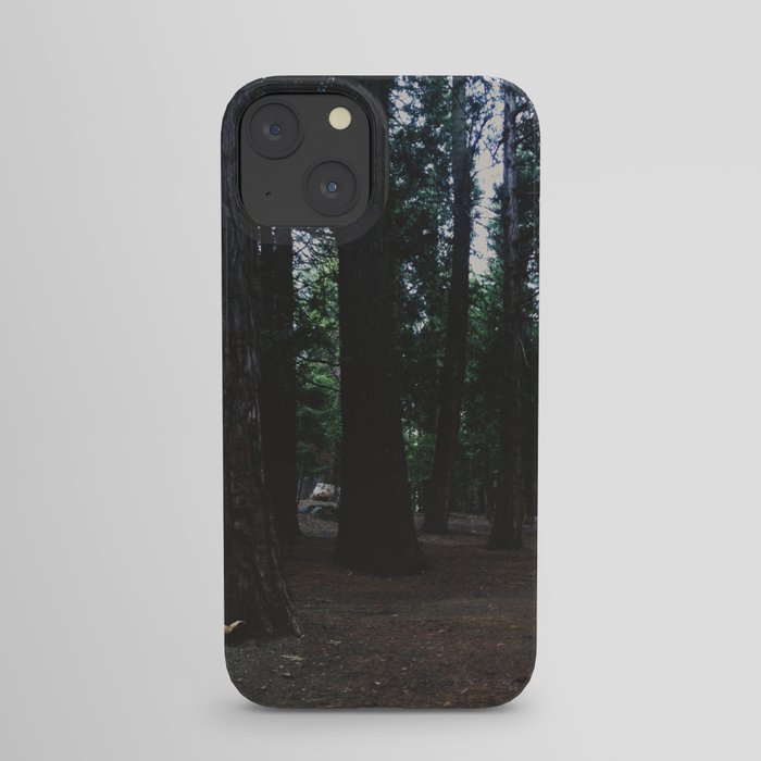 forest iPhone Case