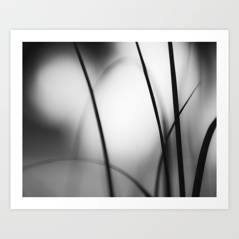 Black And White Abstract Nature Photography Dark Grey Modern Abstract Photo Neutral Gray Picture Art Print By Carolyncochrane Society6