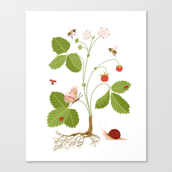 Wild Strawberries Canvas Print