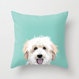 Zulily decorative cheap pillows