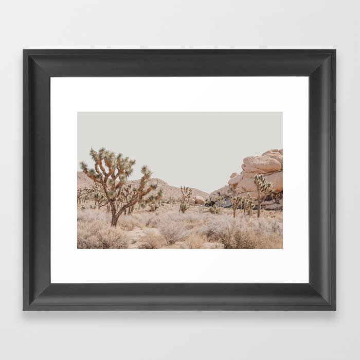 Pale Desert #4 - Joshua Tree Cactus, Nature, Landscape Photography Framed Art Print
