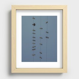 birds Recessed Framed Print