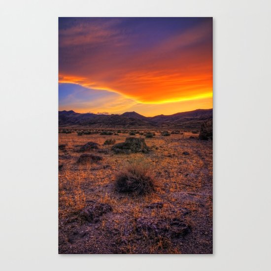 Desert Delight Canvas Print