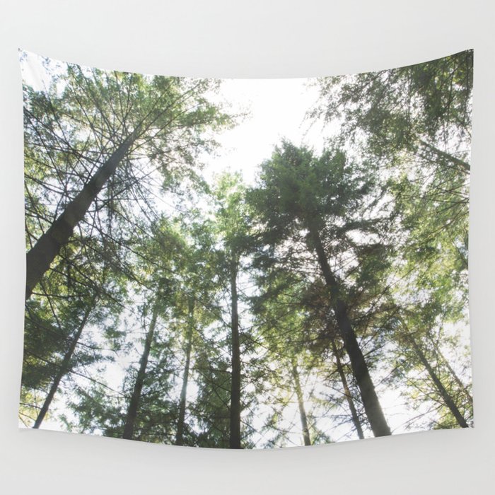 Looking up at the Pine Trees Wall Tapestry