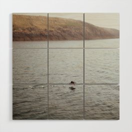 Puffin Taking Off Wood Wall Art