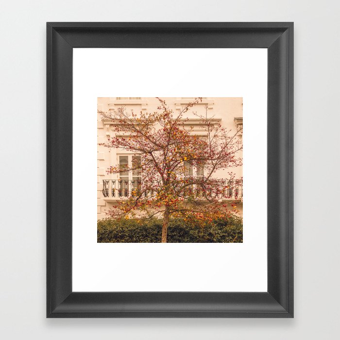 London Autumn tree | Street photography  Framed Art Print
