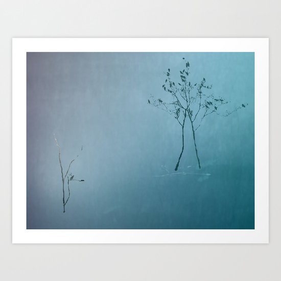 Nature Art Print