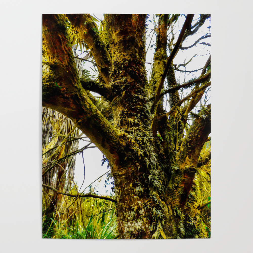The Tree by the River Poster by stevetaylorphotography