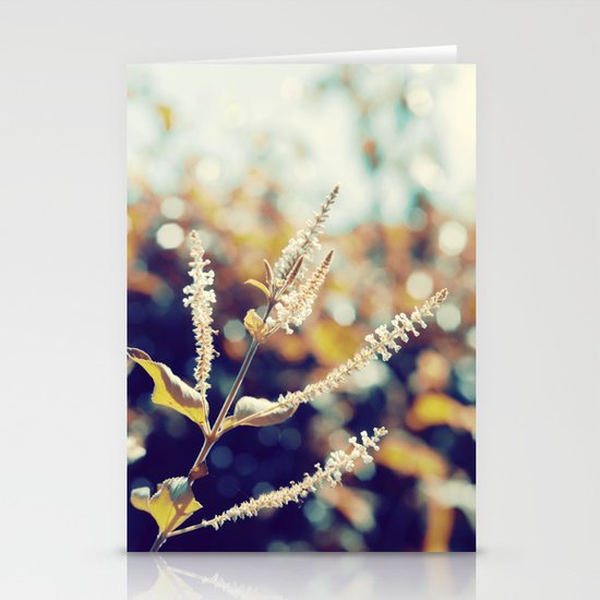 I sit in my garden, gazing upon a beauty that cannot gaze upon itself. Stationery Cards