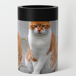 Adorable Cats Can Cooler