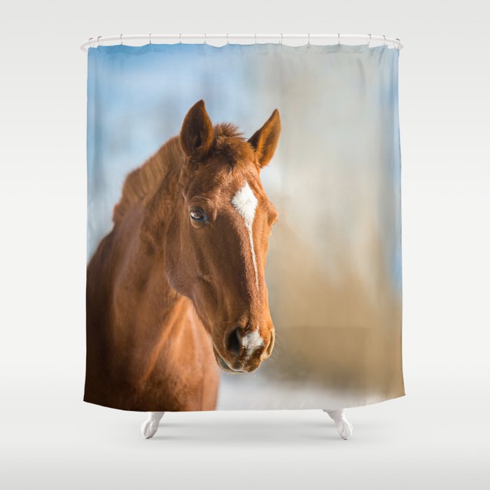 Brown Horse Winter Sky Shower Curtain
