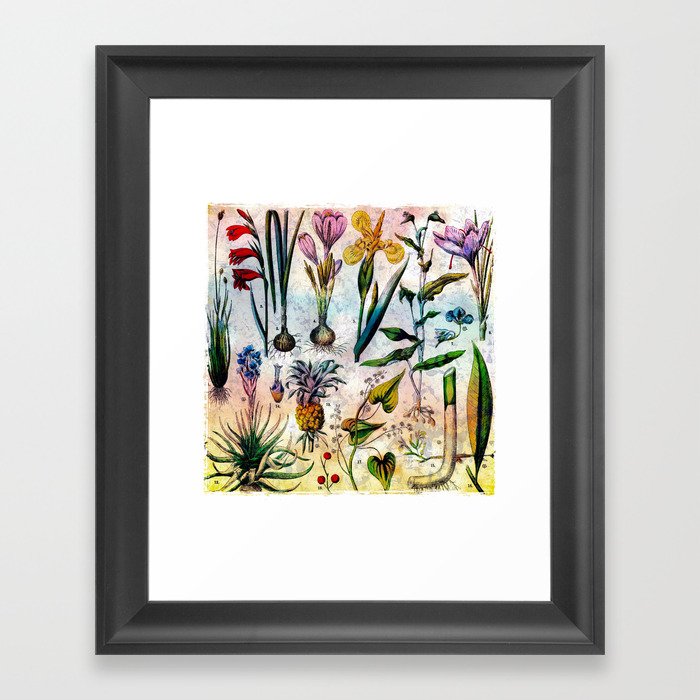Bright Botanical Framed Art Print