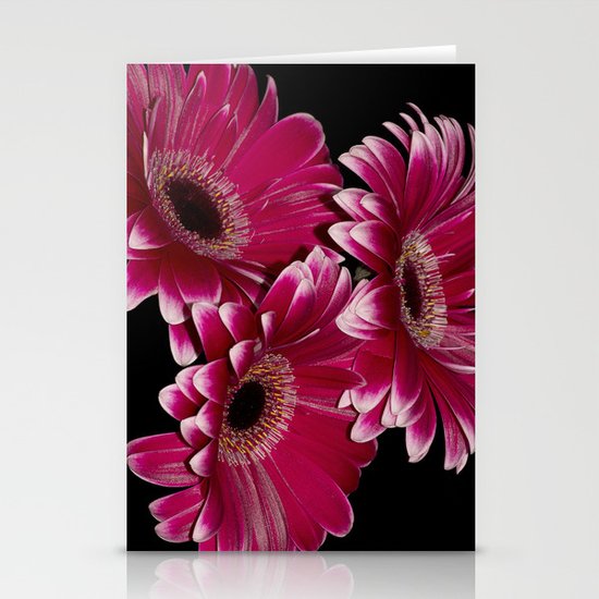 Triple Crown of Red Gerbera Daisys Stationery Cards