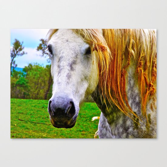 Beauty Canvas Print