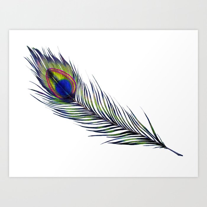 The Peacock's Feather Art Print