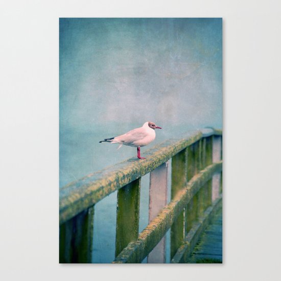 Hy :-) Canvas Print