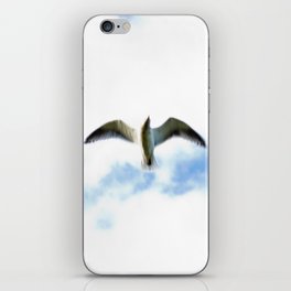 Seagull in Flight iPhone Skin