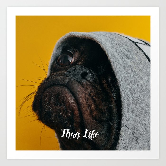 Pug thug life deals