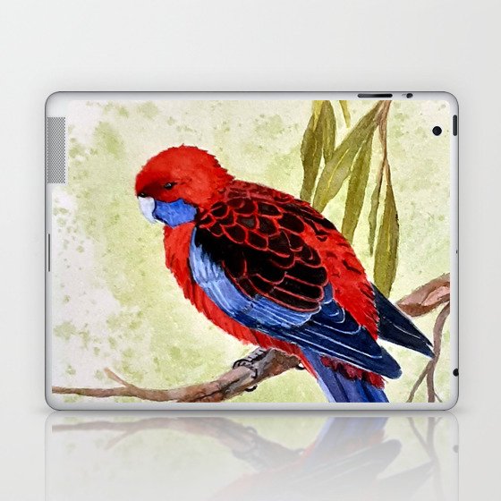 Crimson Rosella - Australian Bird Laptop & iPad Skin