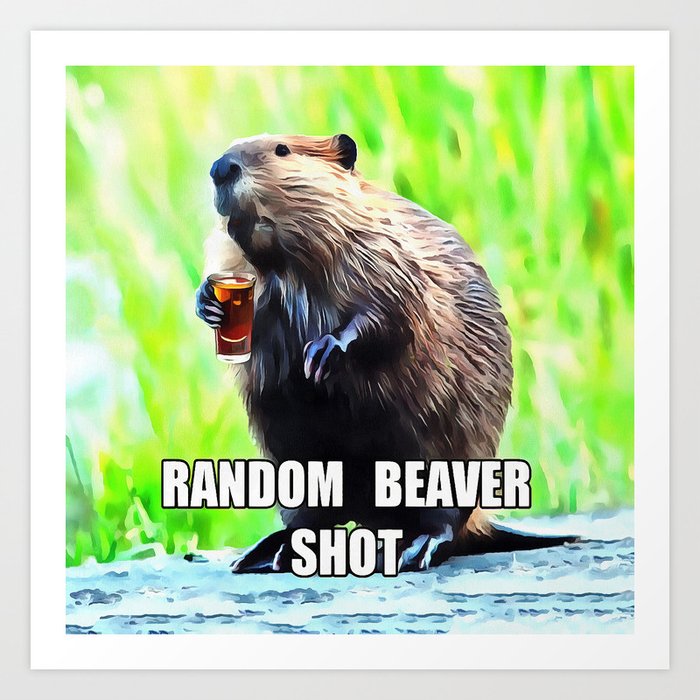 Random Beaver Shot Art Print By Loop12 Society6