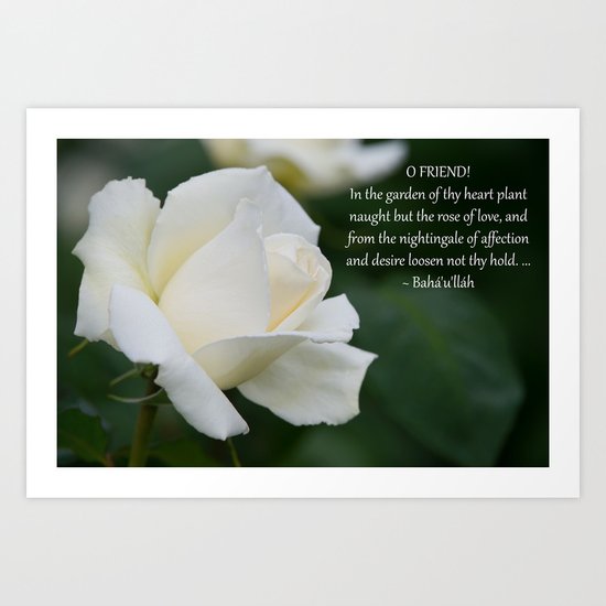 The Rose Of Love Art Print
