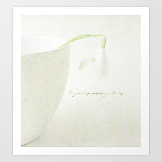 Tiny Snowdrop awakened from its sleep Art Print