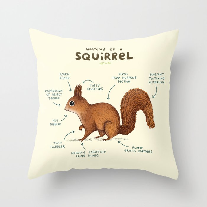 Anatomy of a Squirrel Throw Pillow