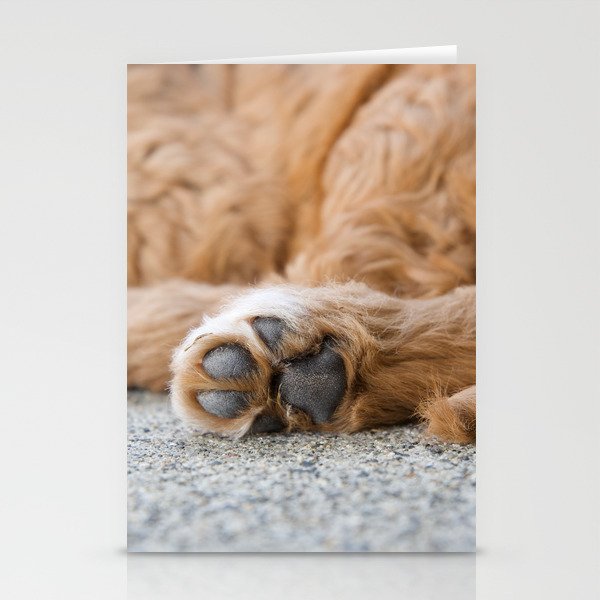 Paws Are Us Stationery Cards