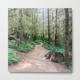 In the Forest Metal Print