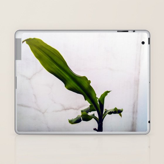 Pequena Planta Sobre Pared Blanca Laptop Ipad Skin By