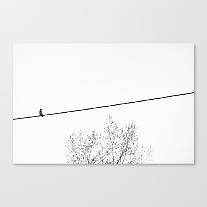 Bird on wire Canvas Print