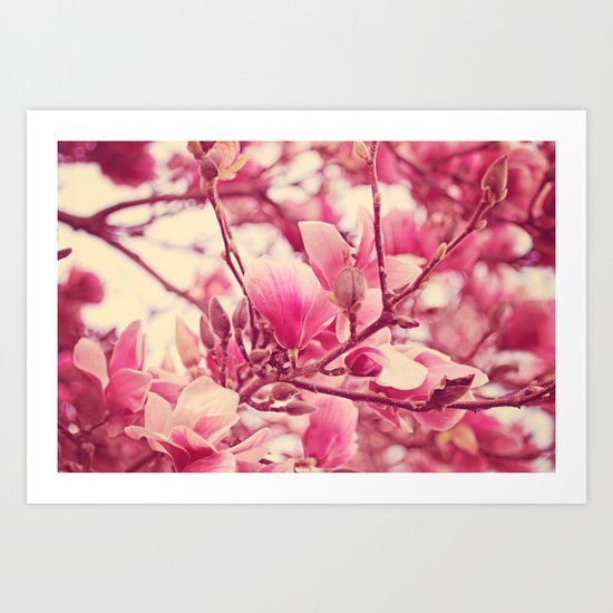 magnolia Art Print