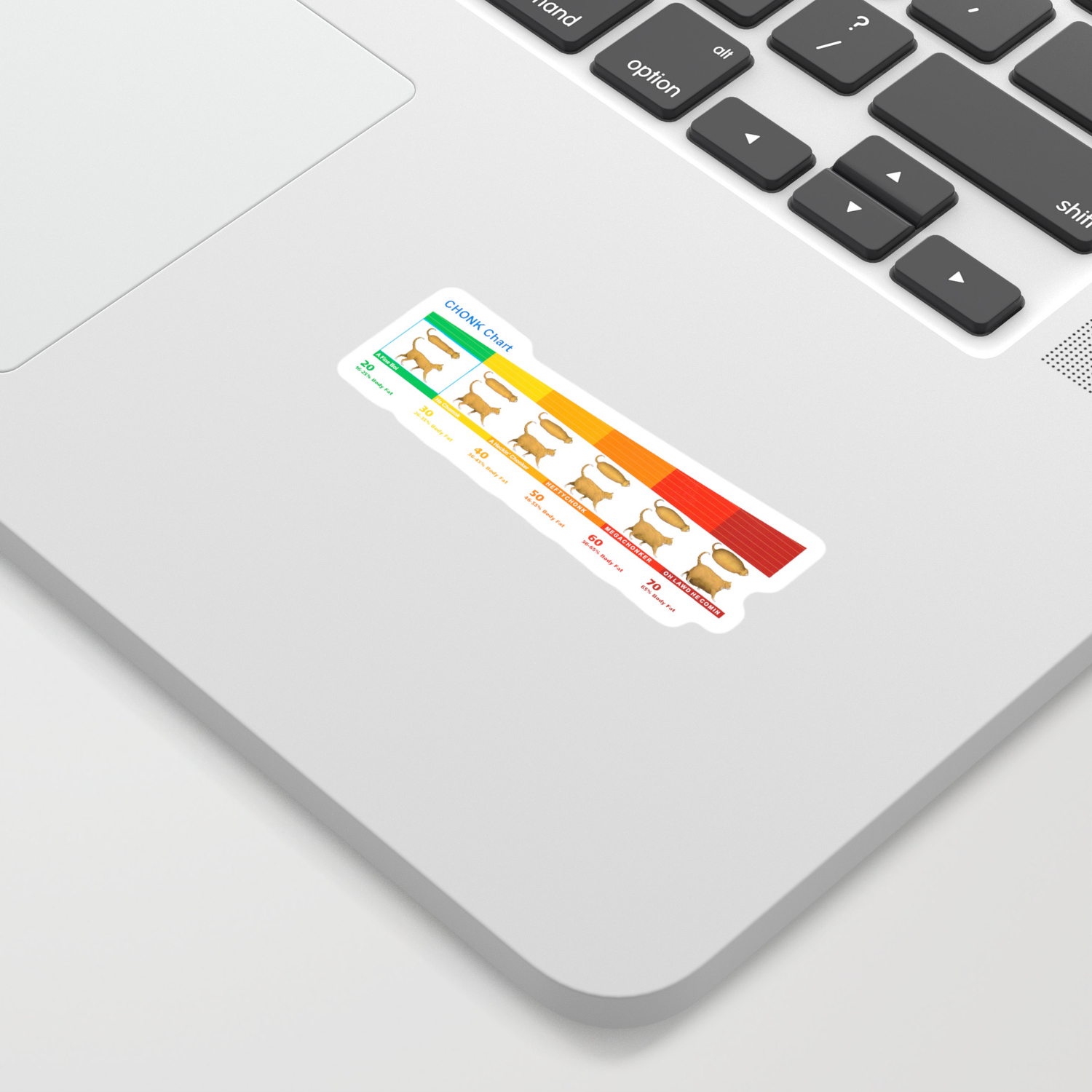 Cat Chonk Chart Meme Sticker By Muzzlearb Society6