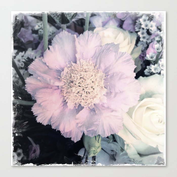 SOFT TOUCH - Purple Flower #1 Canvas Print