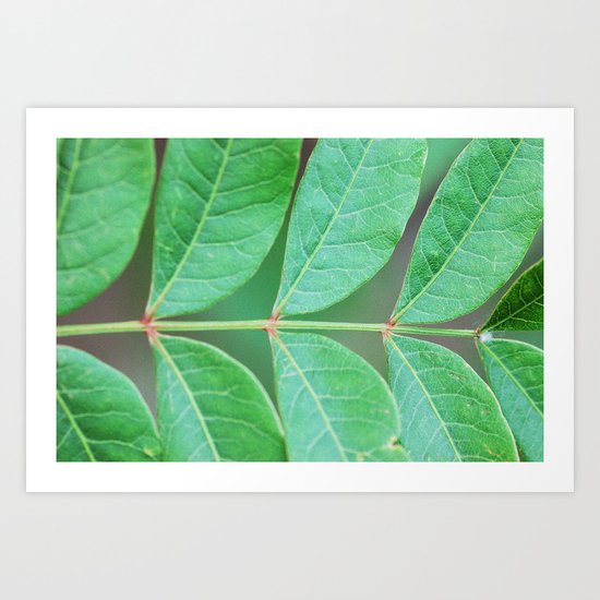 Stem Art Print